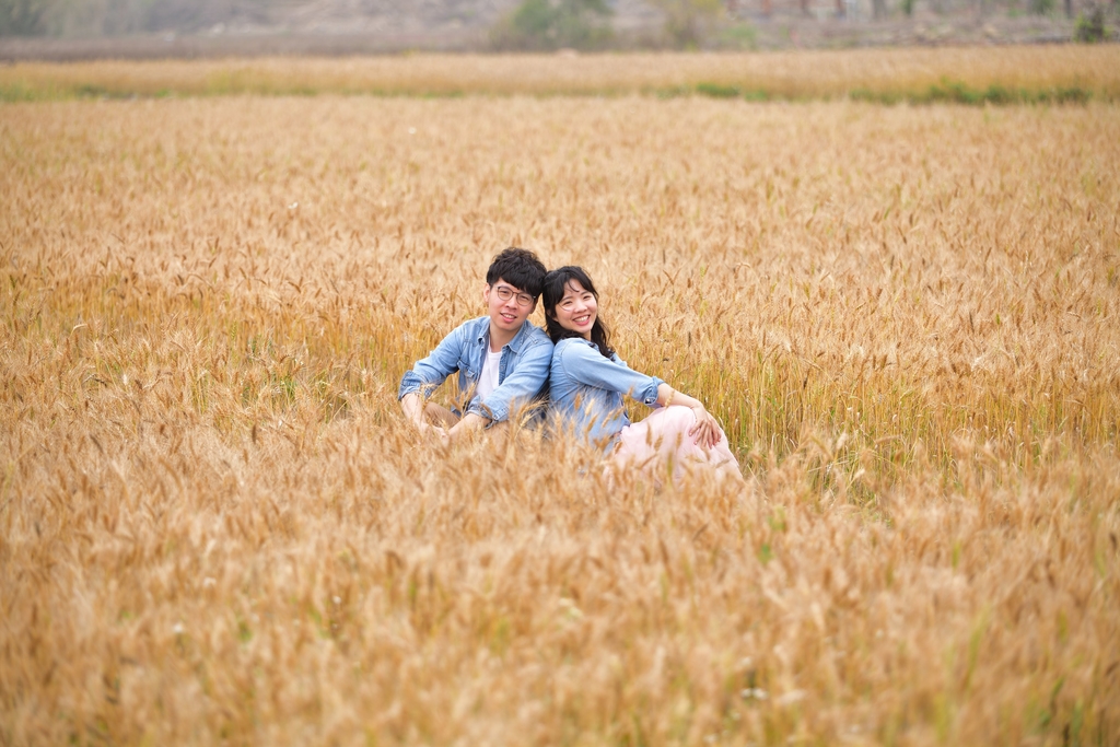 DSC_1676.JPG - 魅力小鎮苑裡私房景點