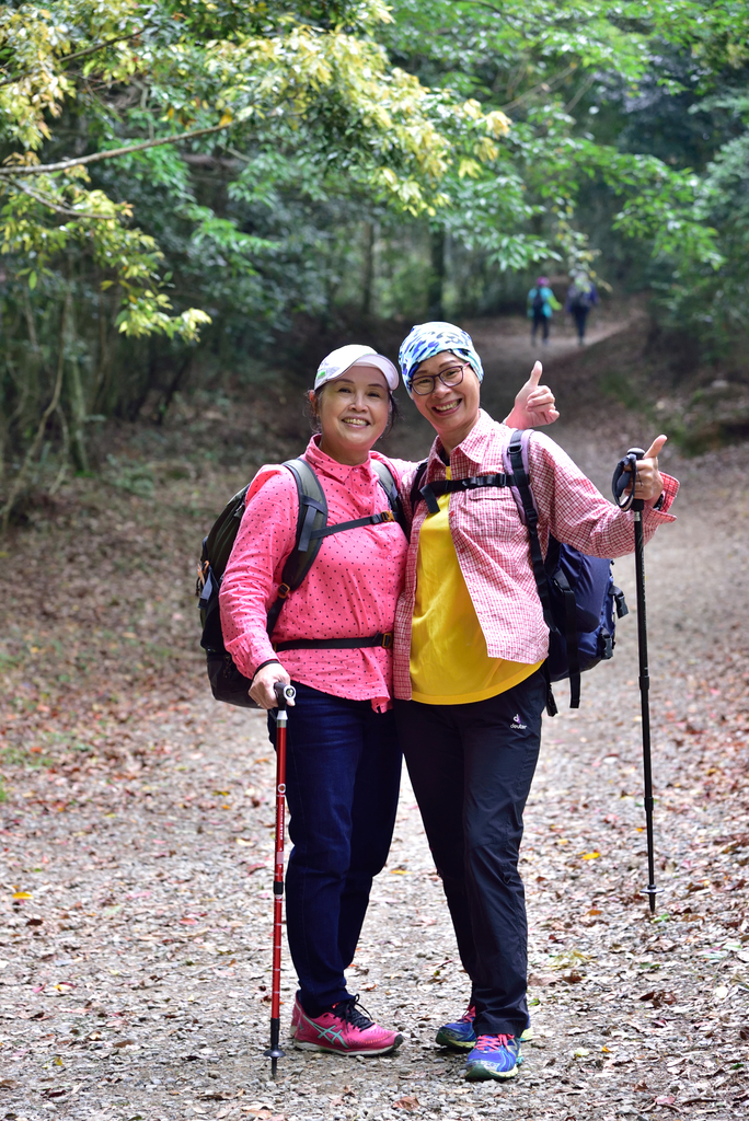 DSC_3374_6298.JPG - 0501北坑山大板根
