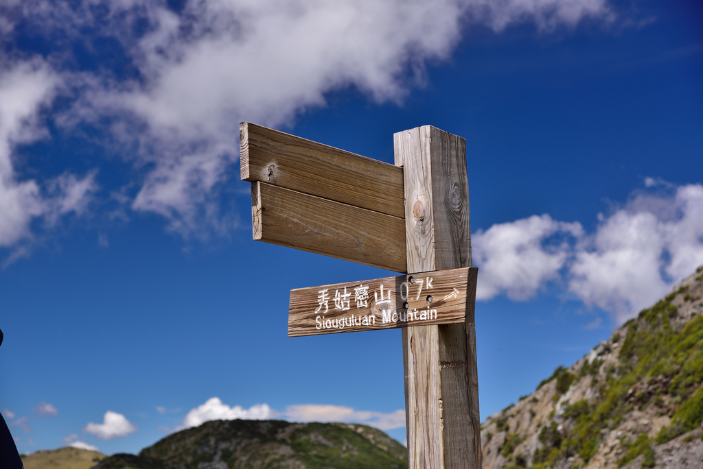 DSC_4895_7015.JPG - 南二段D5~6