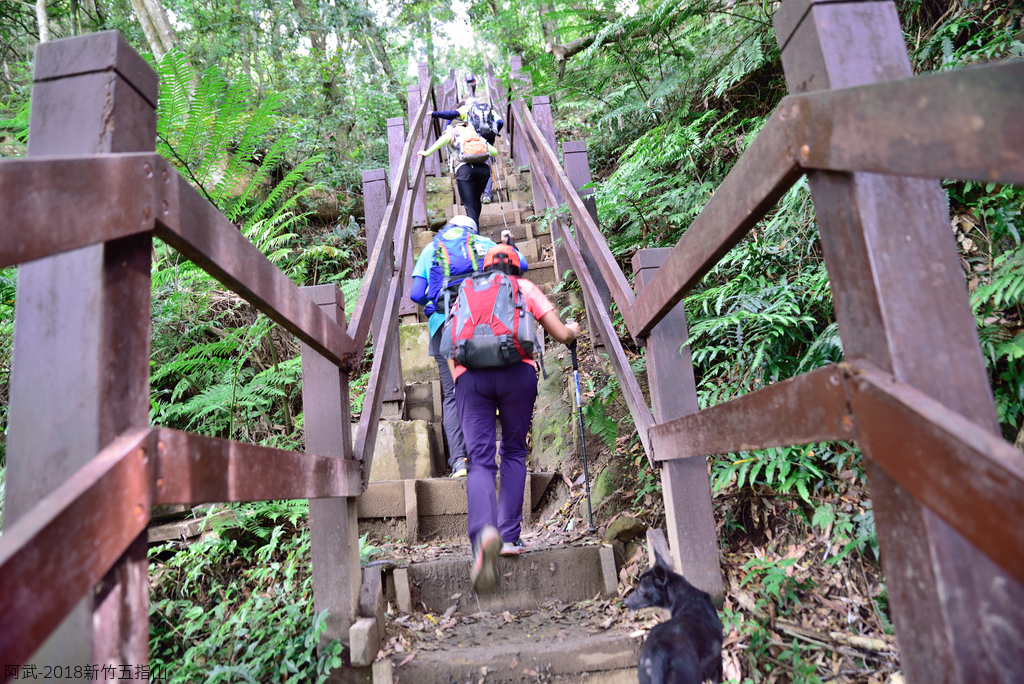 DSC_6690_2761.JPG - 2018新竹五指山