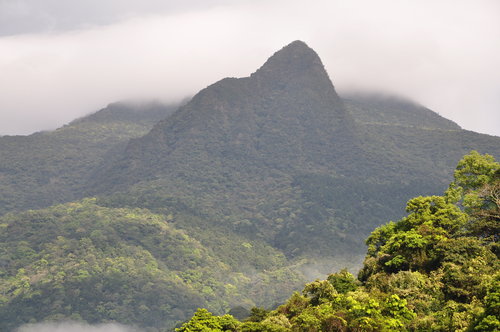 巴福越嶺順登檜山
