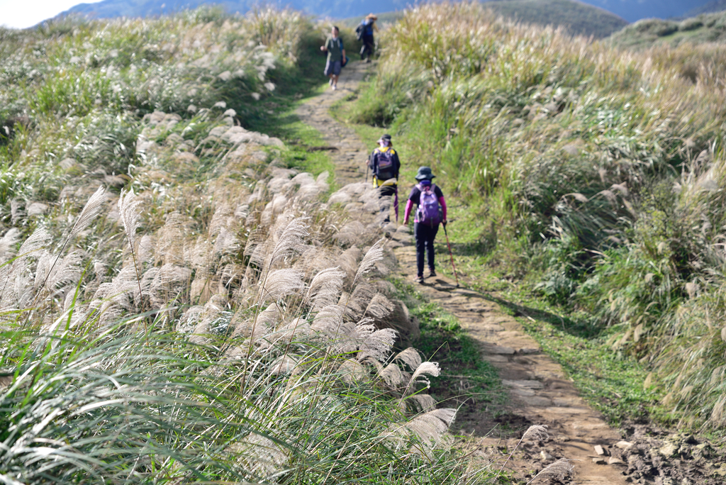 DSC_3480_751.JPG - 2017風櫃嘴登竹篙山