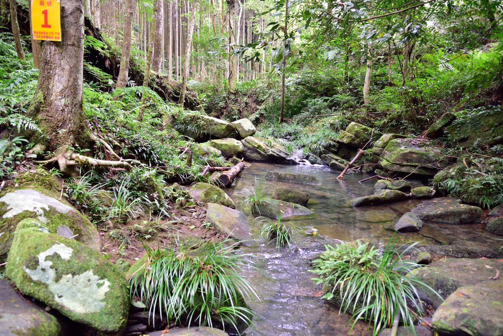 DSC_8012_3363.JPG - 2019向天湖山