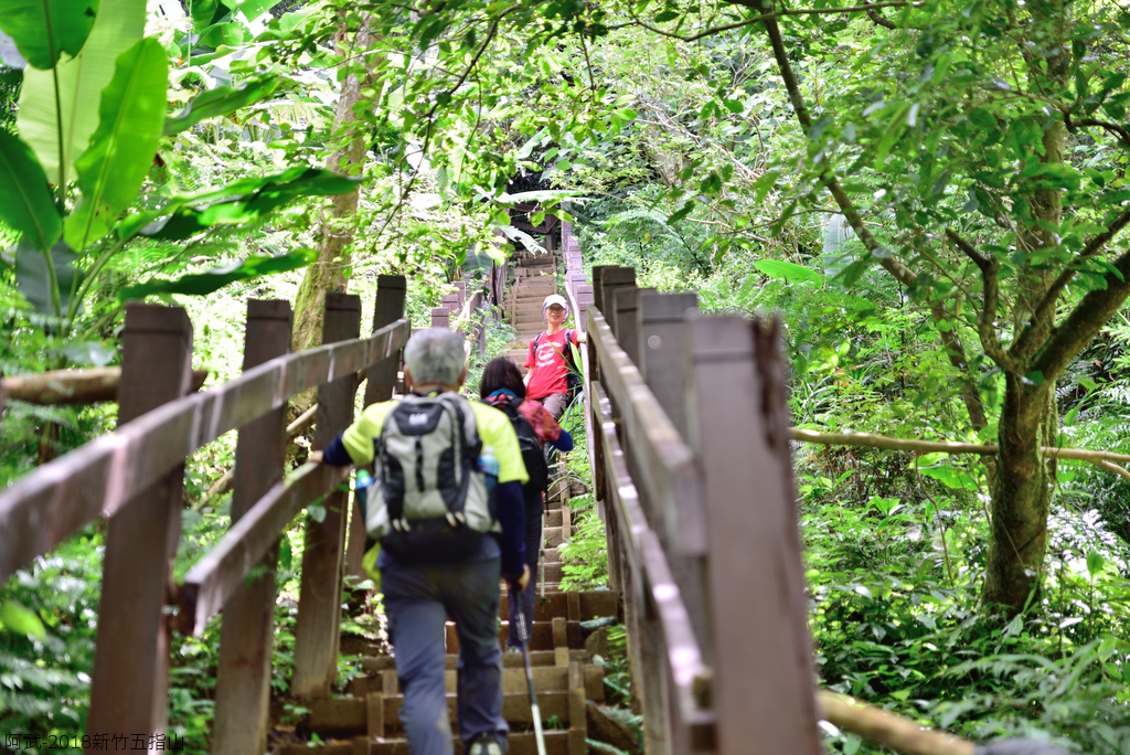 DSC_6686_2759.JPG - 2018新竹五指山