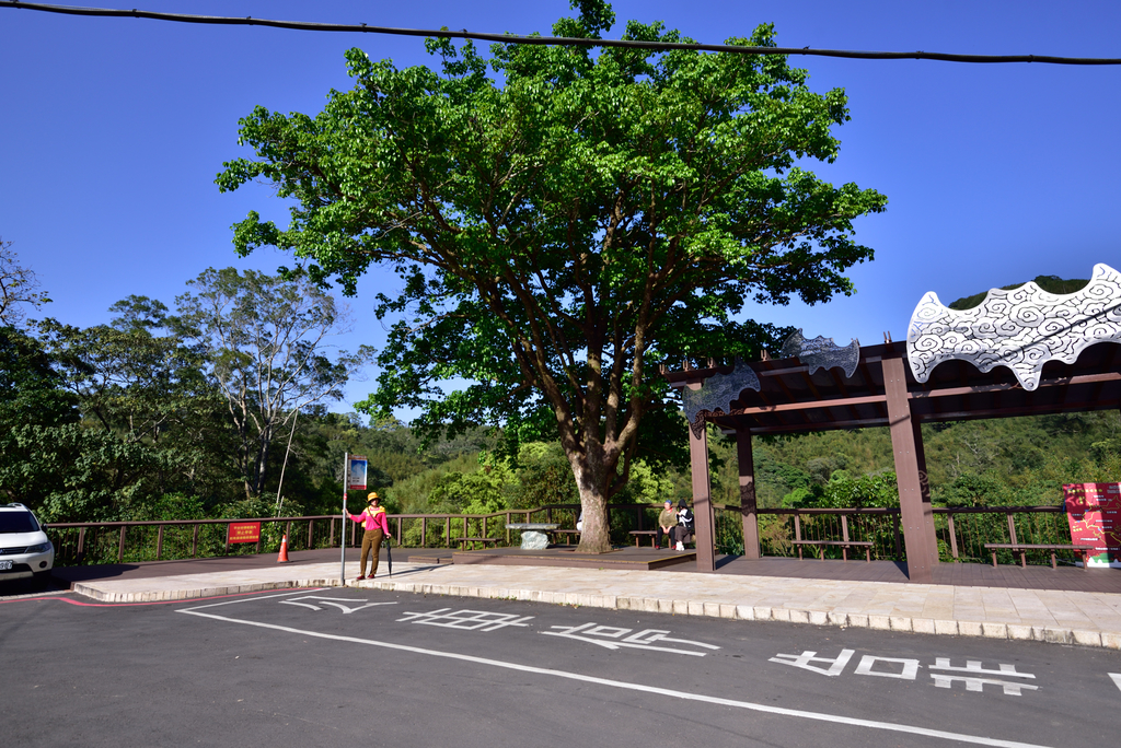 DSC_2834_6058.JPG - 0315三民蝙蝠洞登金平山