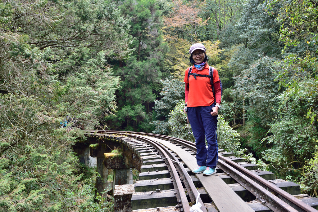 DSC_3097_6155.JPG - 阿里山眠月線