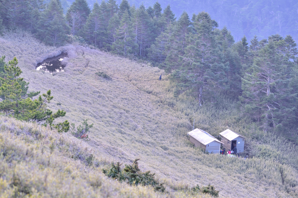 DSC_9846_4380.JPG - 南湖D5
