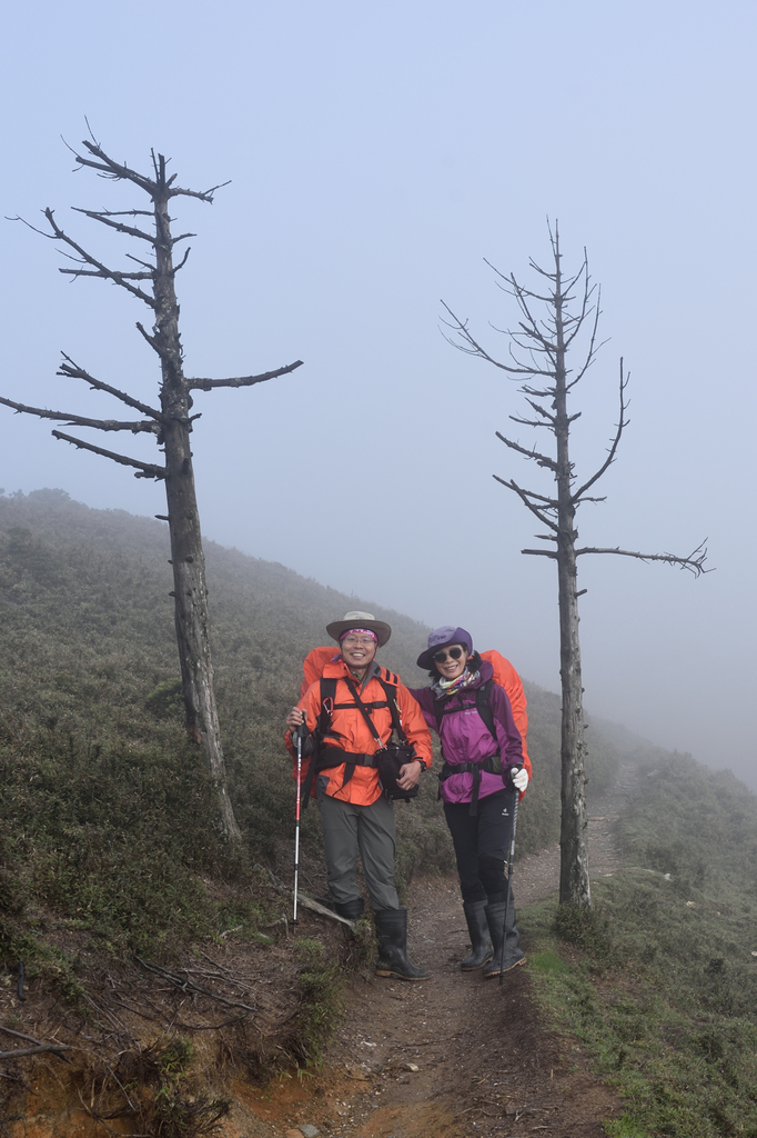 DSC_3922_6618.JPG - 南二段D1~2