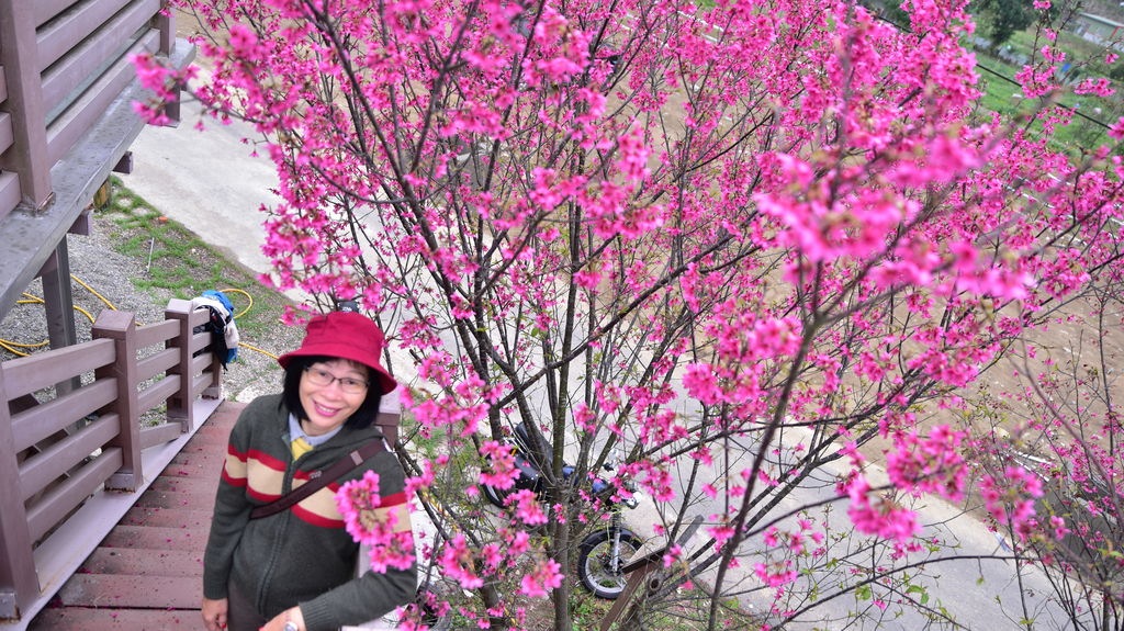 DSC_4885_1565.JPG - 2018新溪口吊橋