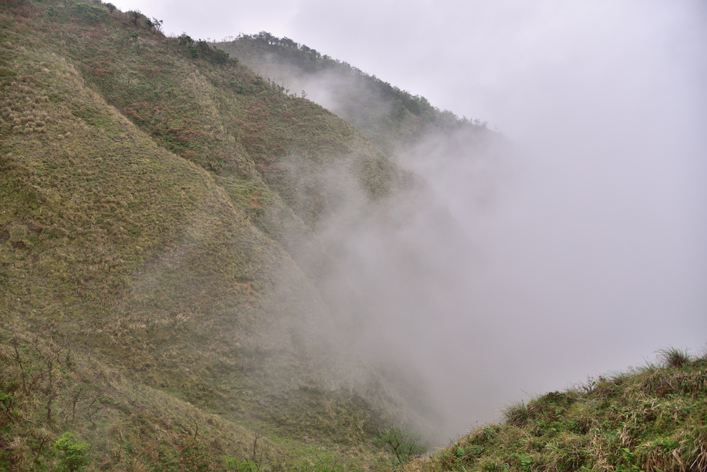 DSC_6539_8169.JPG - 20210320蘭陽聖稜線縱走