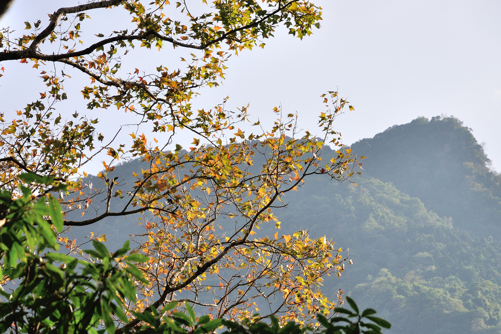 DSC_4241_171.JPG - 2017虎山