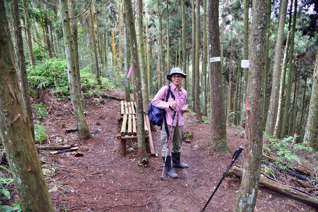 DSC_8033_3378.JPG - 2019向天湖山