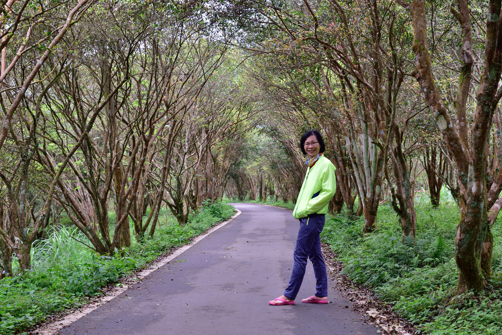 DSC_8169_3434.JPG - 2019向天湖山