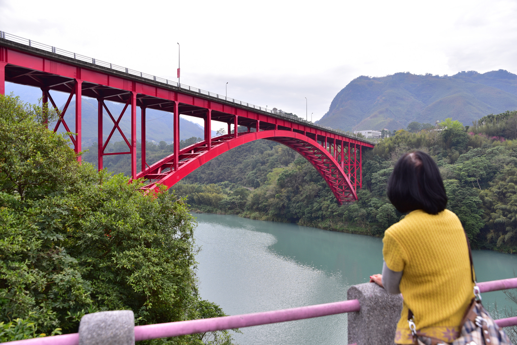 DSC_4930_1585.JPG - 2018新溪口吊橋