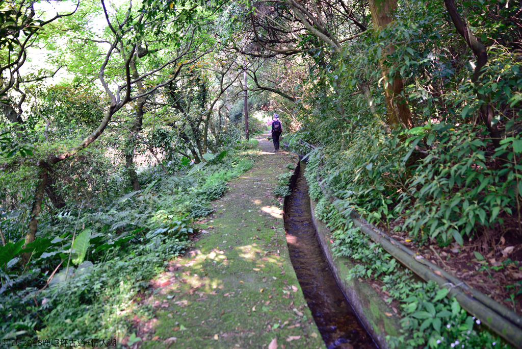 DSC_5300_1779.JPG - 2018鹿崛坪古道+情人湖