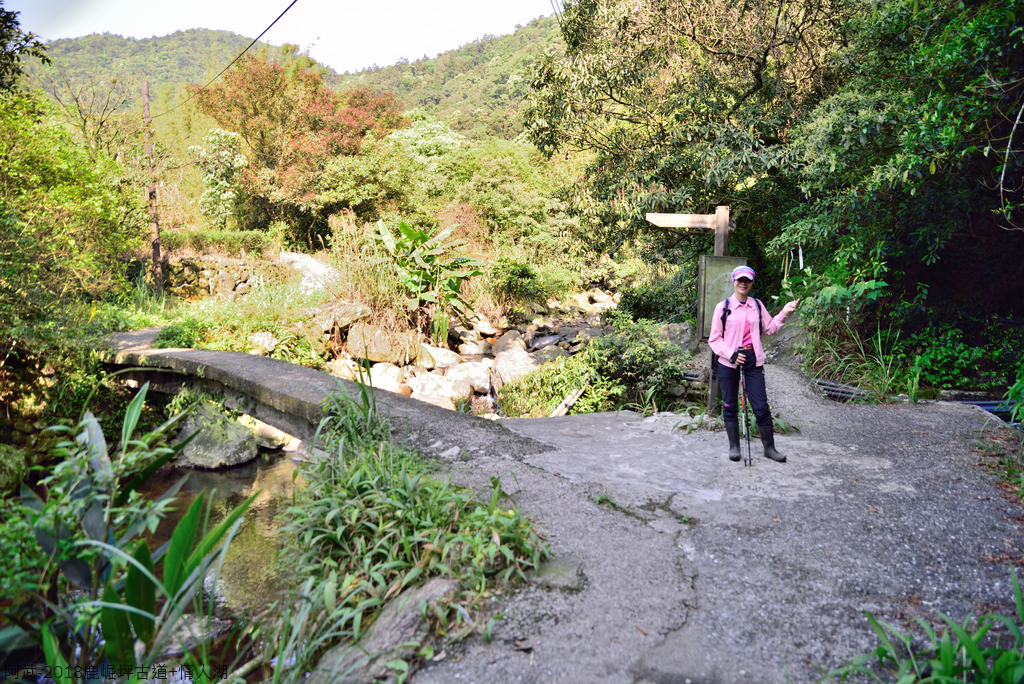 DSC_5301_1780.JPG - 2018鹿崛坪古道+情人湖