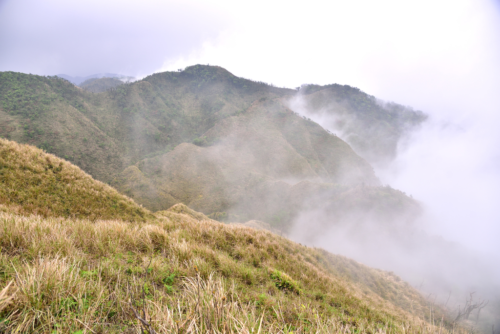 DSC_6519_8156.JPG - 20210320蘭陽聖稜線縱走