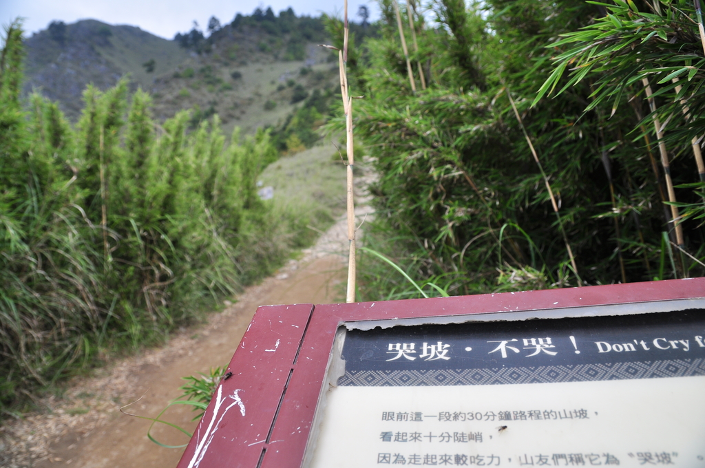 096.JPG - 20150718雪山