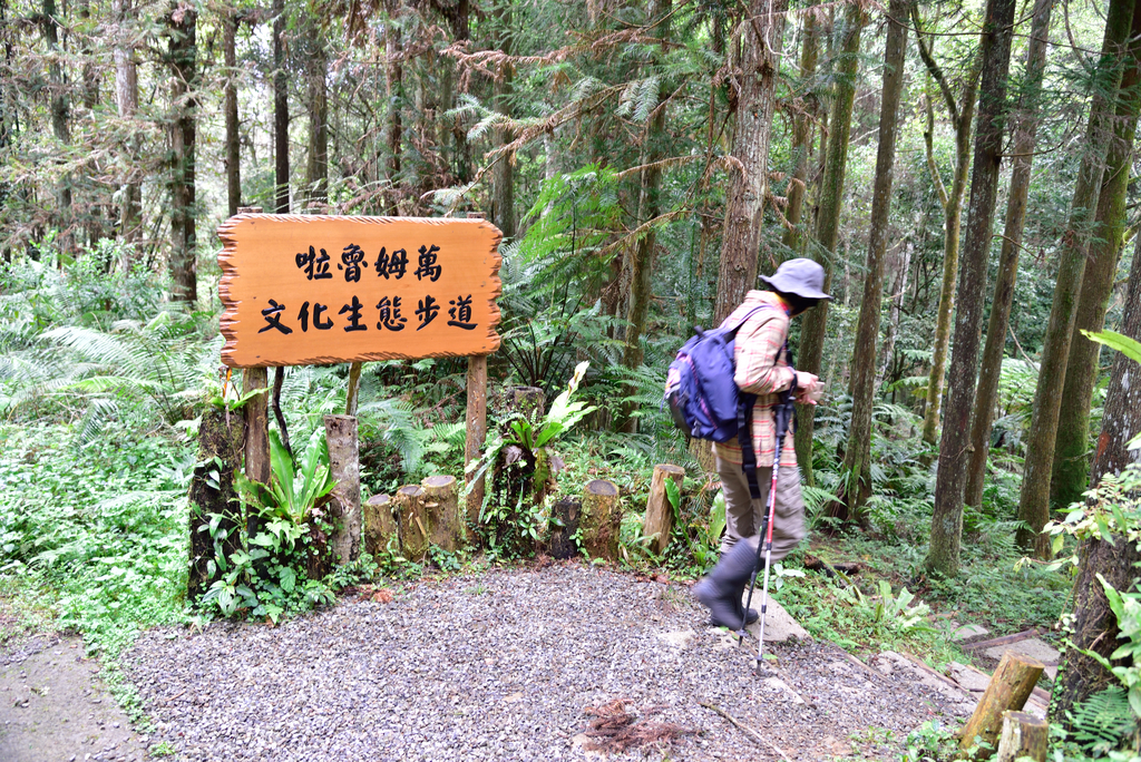 DSC_8009_3362.JPG - 2019向天湖山