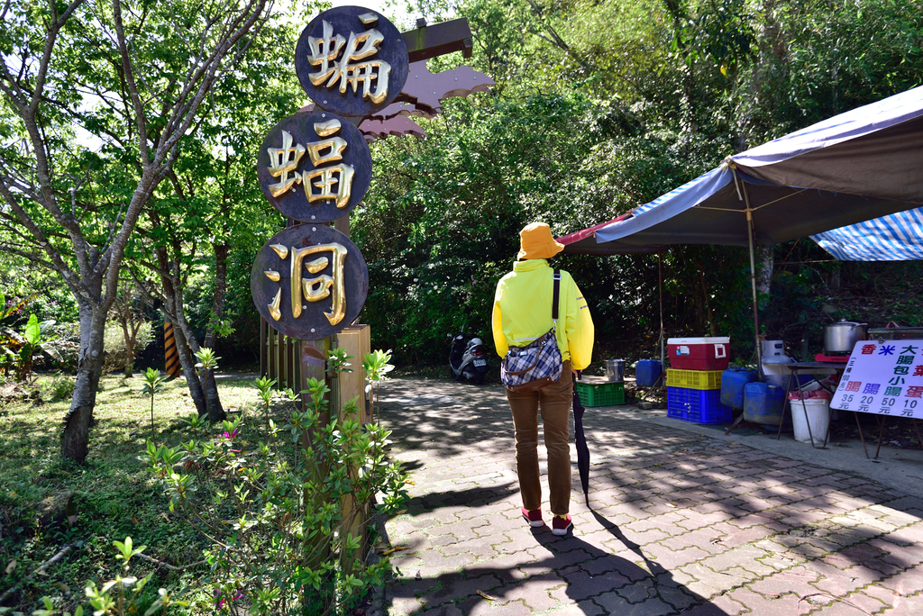DSC_2694_5996.JPG - 0315三民蝙蝠洞登金平山