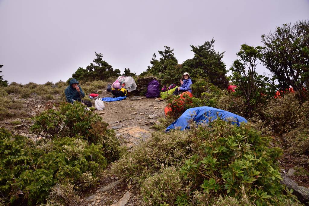 DSC_4171_6728.JPG - 南二段D3~4