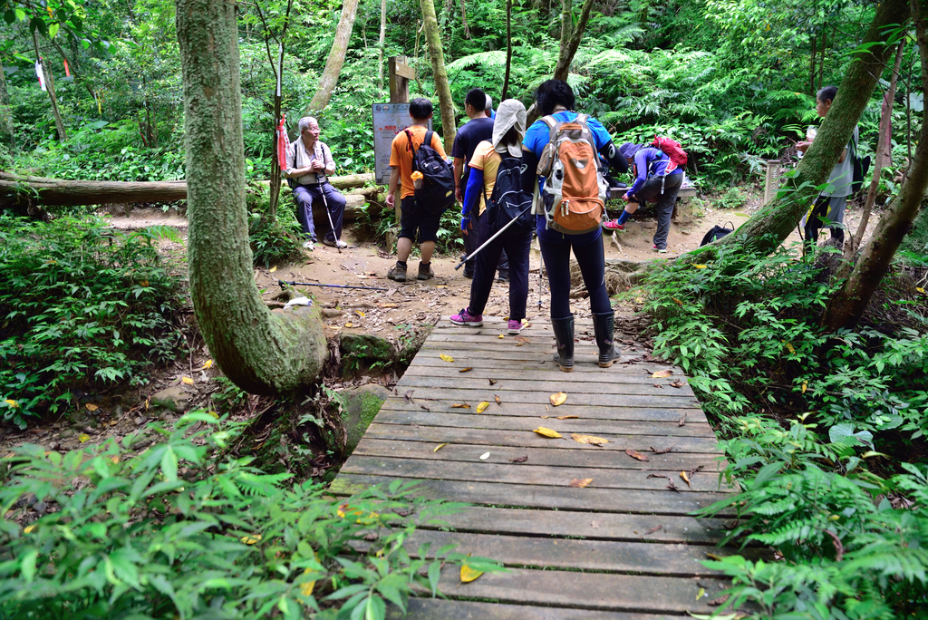 DSC_6261_2462.JPG - 2018平溪孝子山