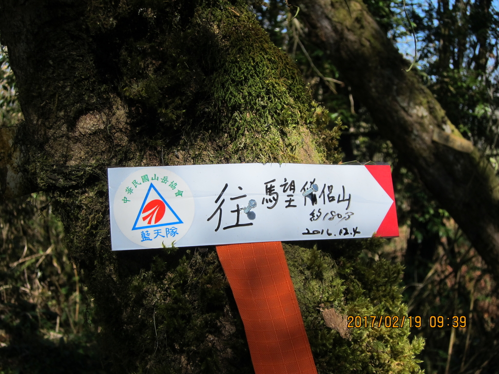 IMG_5529.JPG - 20170219李棟山