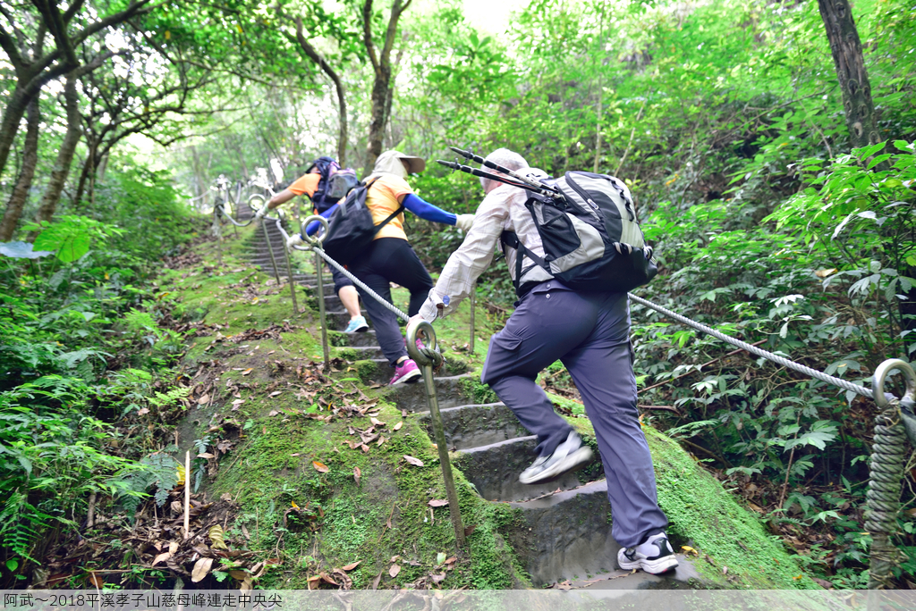 DSC_5877_2222.JPG - 2018平溪孝子山