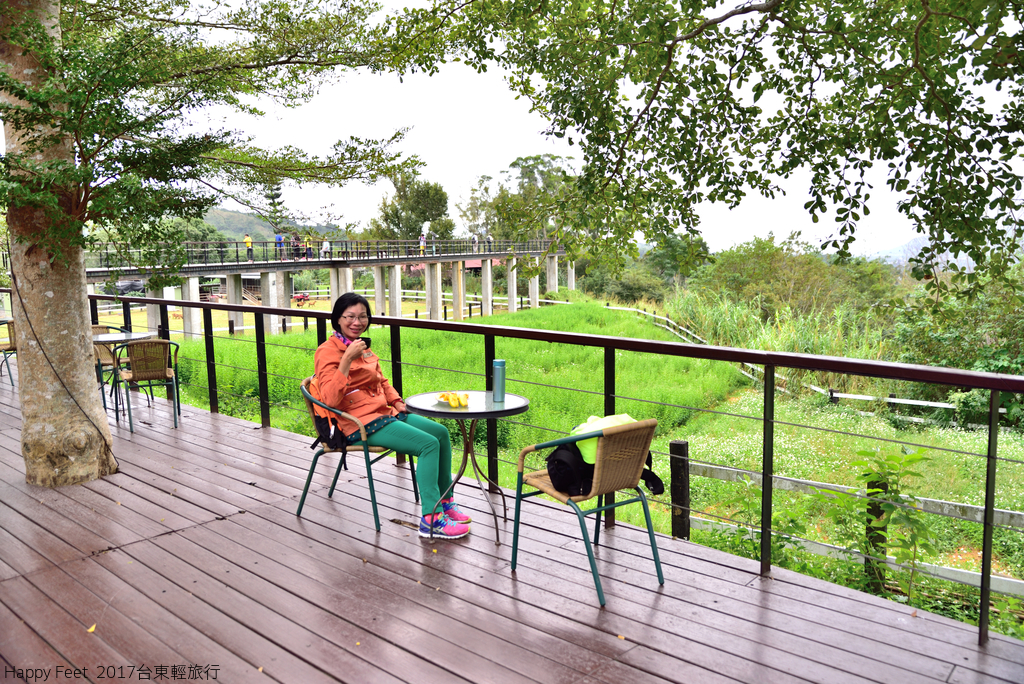 DSC_2916_501.JPG - 2017 台東輕旅行