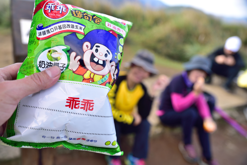 DSC_3535_781.JPG - 2017風櫃嘴登竹篙山