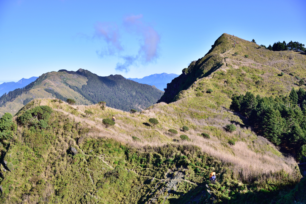 DSC_1456_5299.JPG - 2019能安縱走(上)