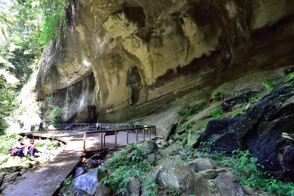 DSC_2728_6011.JPG - 0315三民蝙蝠洞登金平山