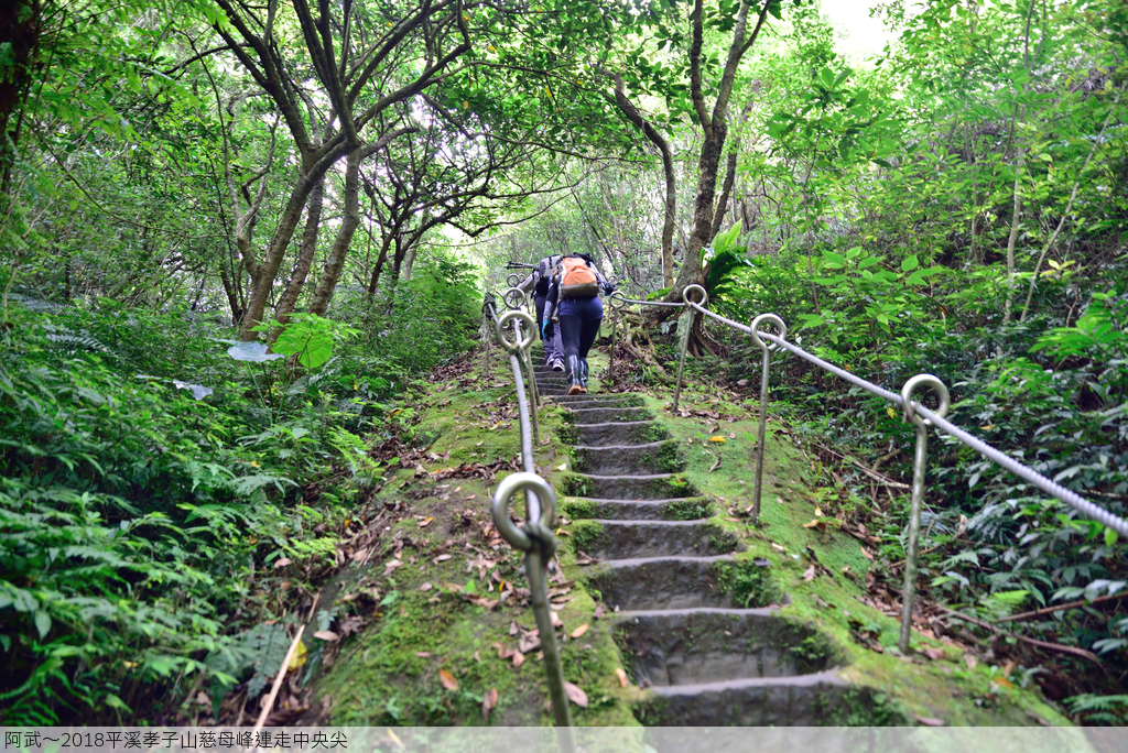 DSC_5884_2226.JPG - 2018平溪孝子山