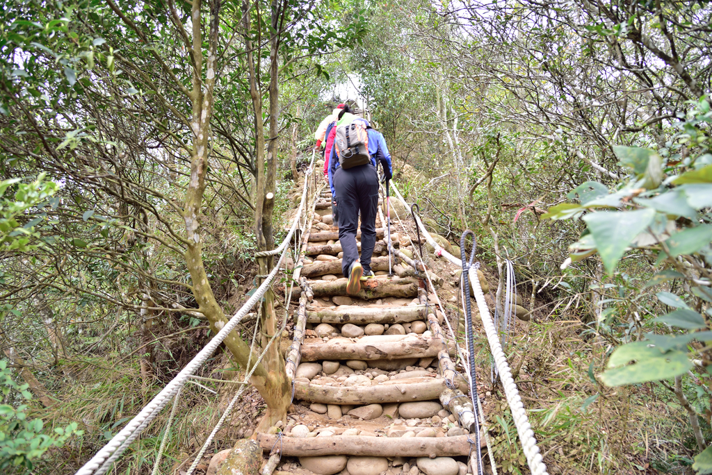 DSC_8377_3540.JPG - 2019火炎山