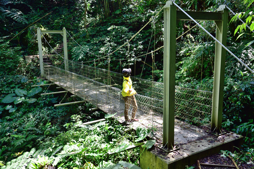 DSC_2732_6012.JPG - 0315三民蝙蝠洞登金平山