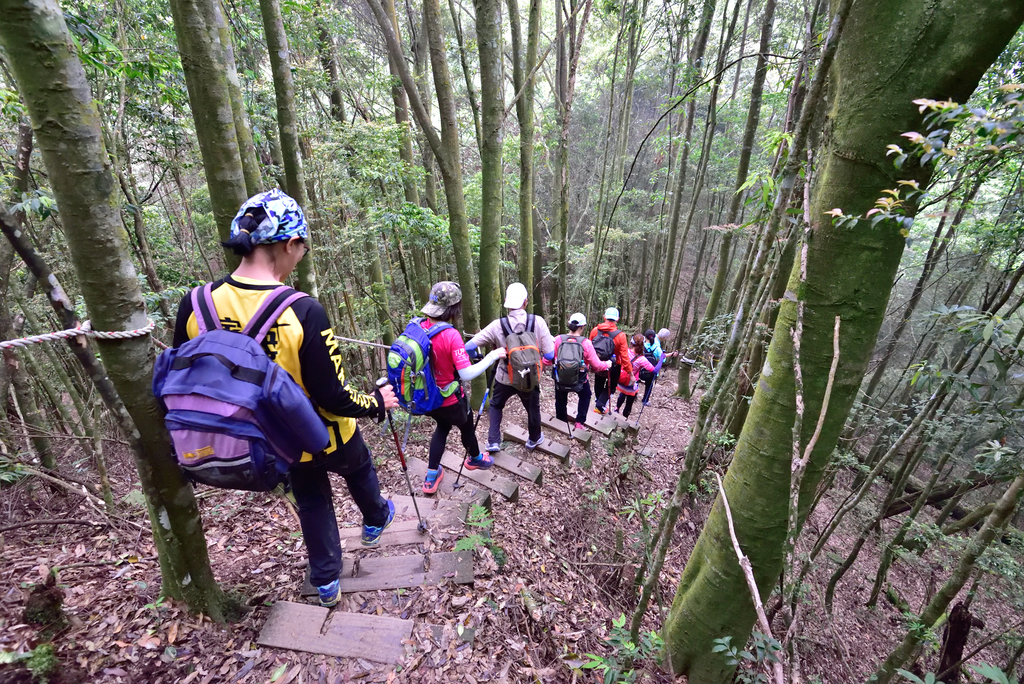 DSC_3619_6468.JPG - 0501北坑山大板根