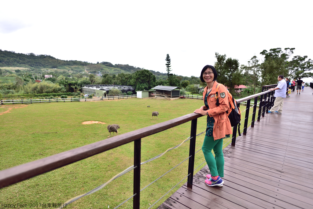 DSC_2950_512.JPG - 2017 台東輕旅行