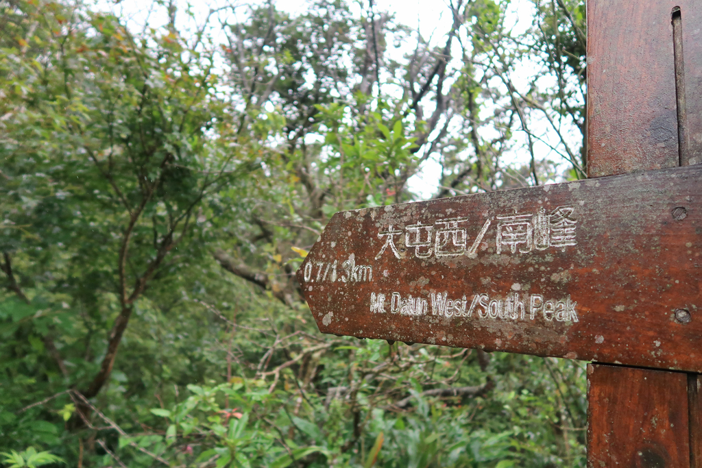 IMG_0052_250.JPG - 20171111陽明山大縱走Part 1