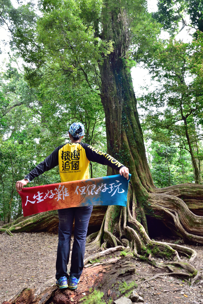 DSC_3573_6442.JPG - 0501北坑山大板根