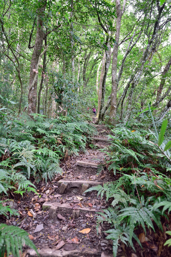 DSC_5276_7215.JPG - 20200905上島山