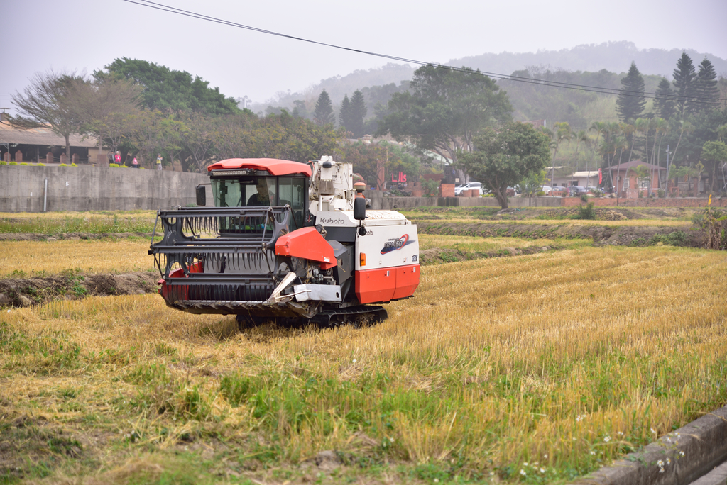 DSC_7914_3348.JPG - 魅力小鎮苑裡私房景點