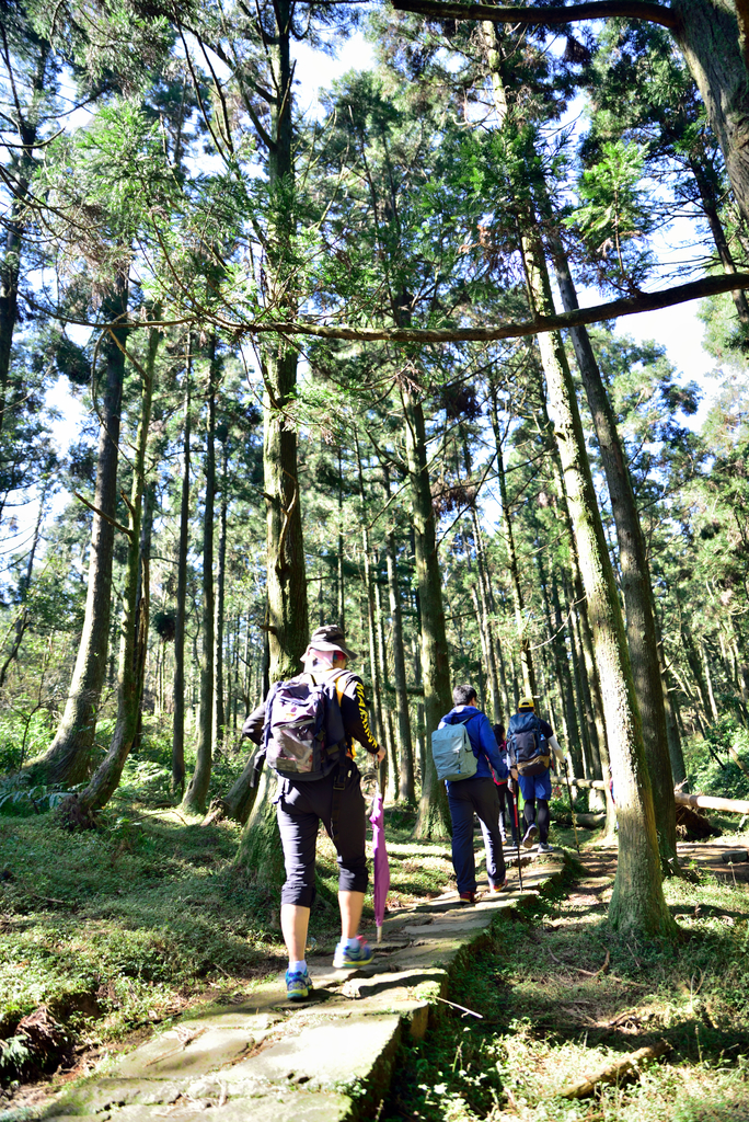 DSC_3347_692.JPG - 2017風櫃嘴登竹篙山