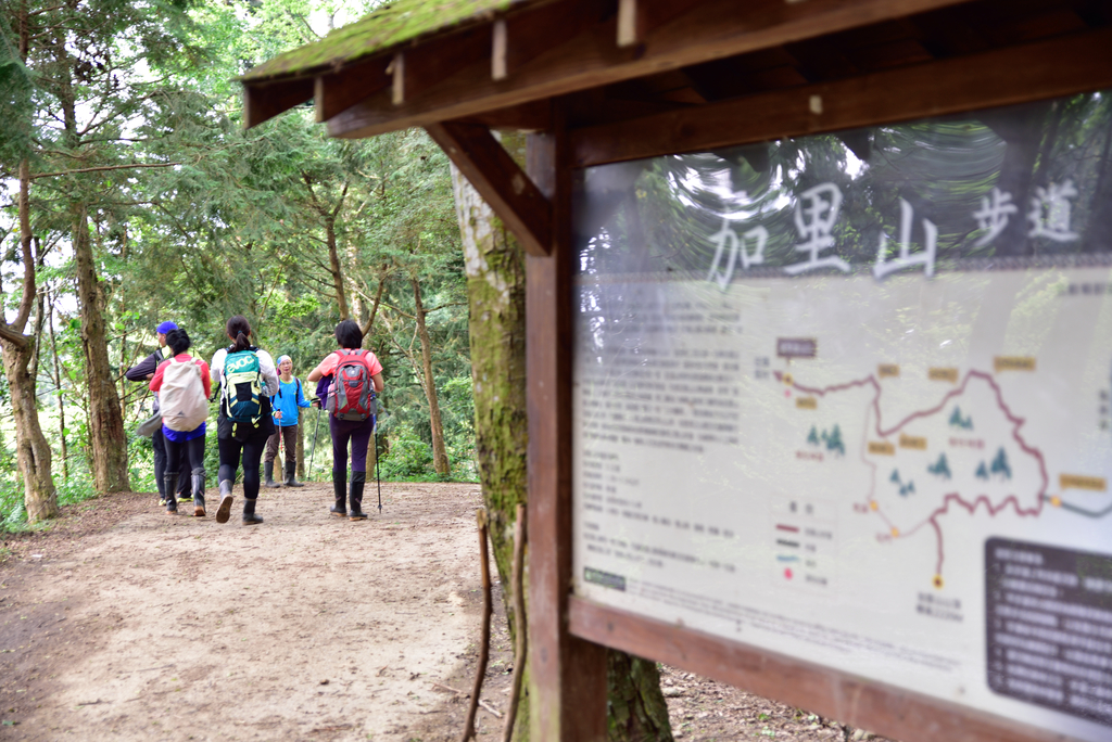 DSC_5779_2109.JPG - 2018加里山