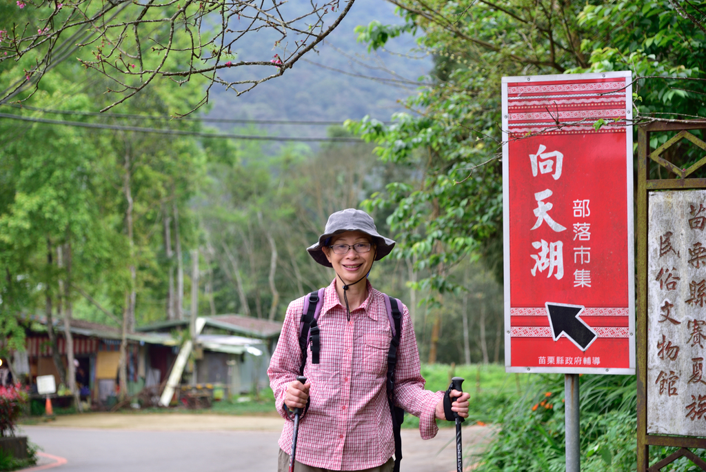 DSC_8146_3426.JPG - 2019向天湖山
