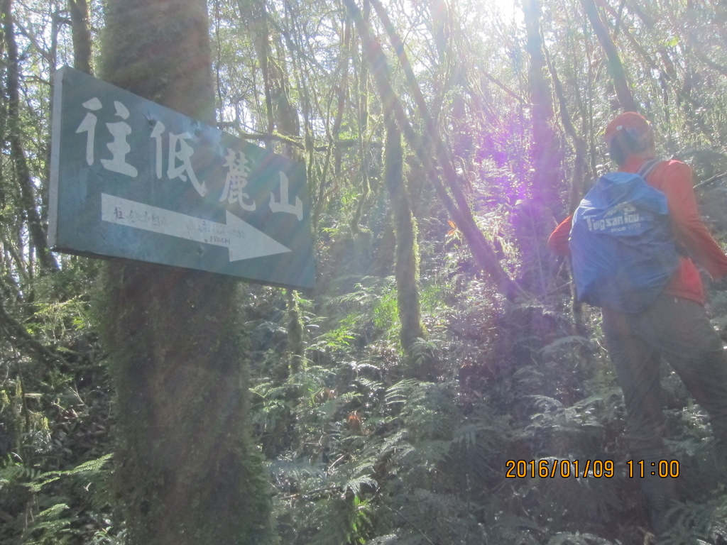 IMG_3838.JPG - 2016低陸山
