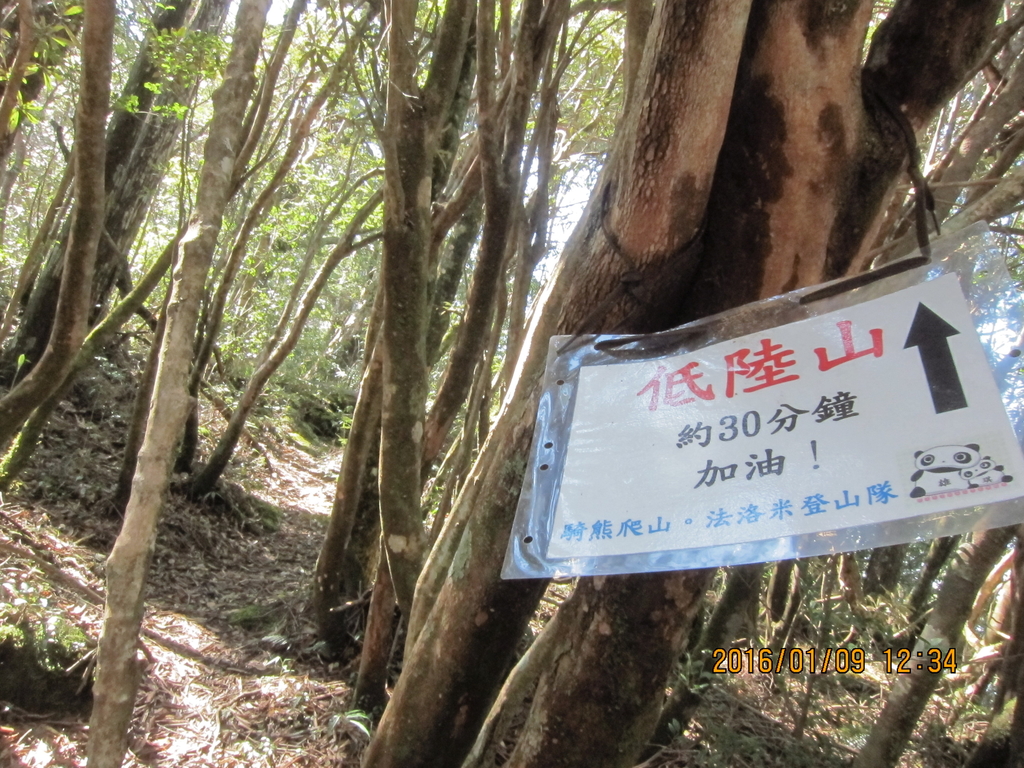 IMG_3850.JPG - 2016低陸山