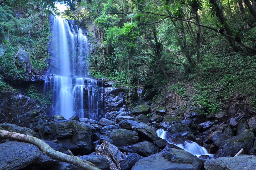 image.jpeg - 21051107卡保逐鹿賞山毛櫸