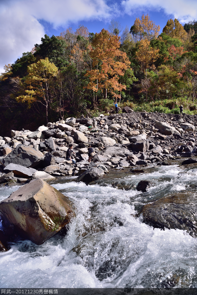 DSC_3729_880.JPG - 秀巒楓情