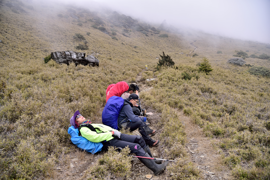 DSC_9124_3953.JPG - 南湖D2