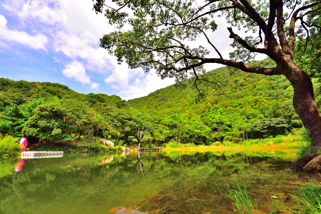 DSC_0995_4986.JPG - 2019新山夢湖